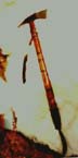 club3b.jpg (27259 bytes)