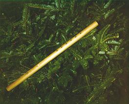 Flute