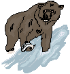 Bearfish.gif (1798 bytes)