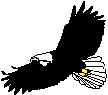 Eagle3.gif (645 bytes)