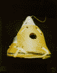 Tipi