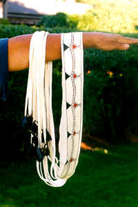 new13a.TIF (184096 bytes)