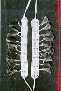 new15a.TIF (184274 bytes)