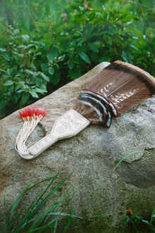 new18a.tif (223984 bytes)