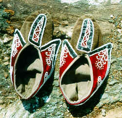 new7a.tif (191172 bytes)