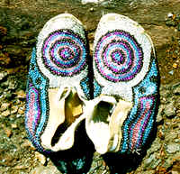 new8a.TIF (127000 bytes)