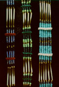 RJEQCN2,3,4