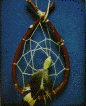 Dream Catcher